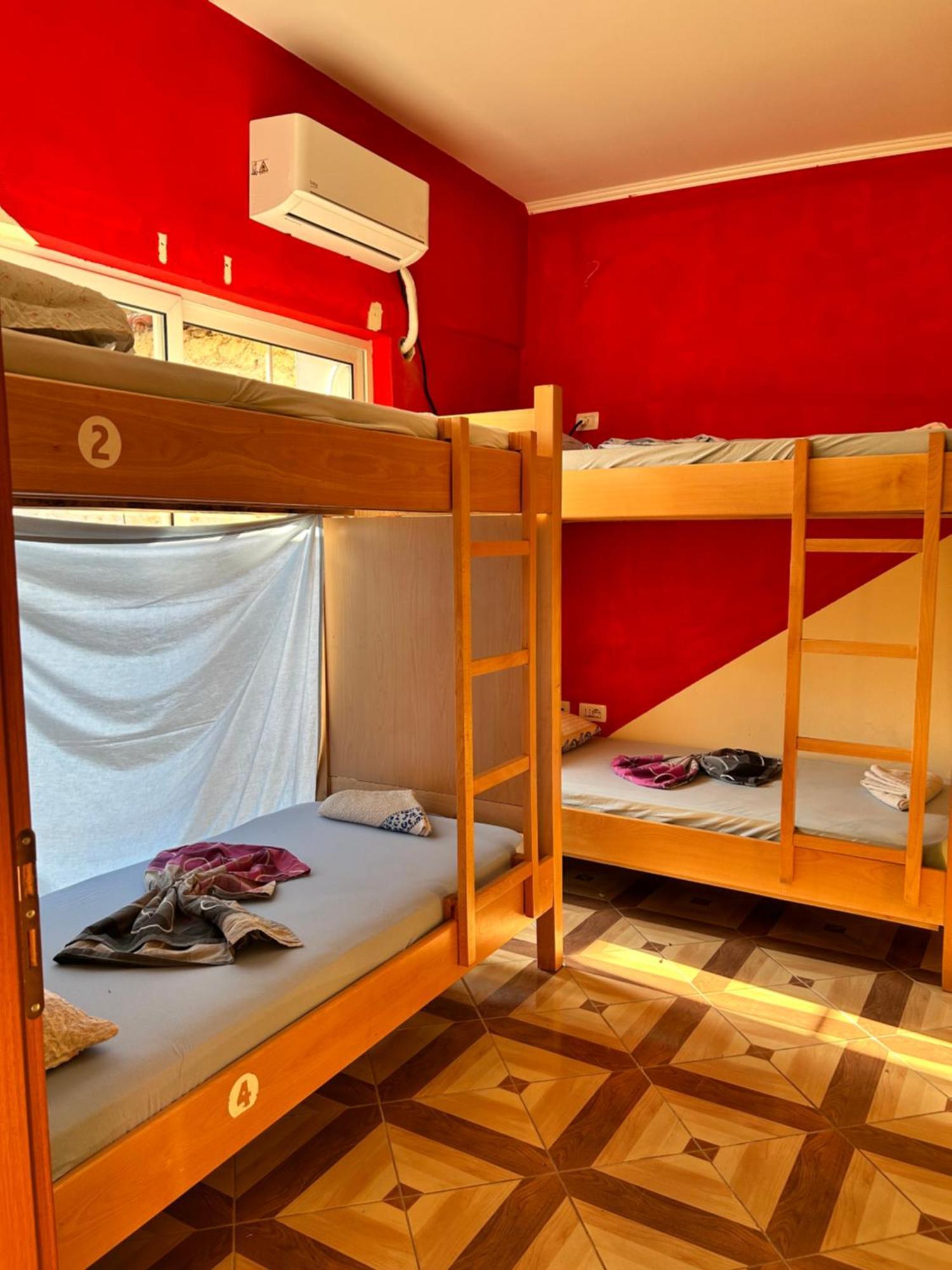 D1 Hostel تيرانا المظهر الخارجي الصورة
