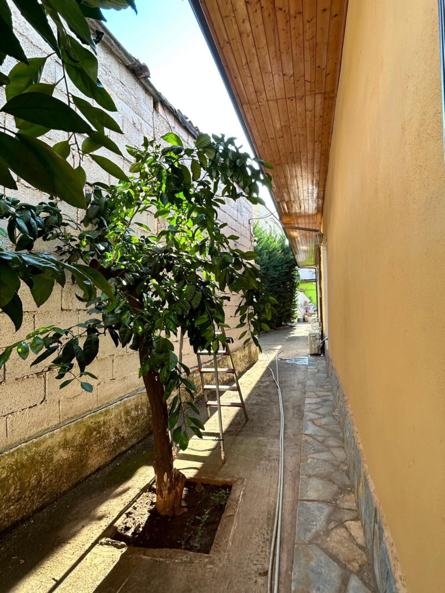 D1 Hostel تيرانا المظهر الخارجي الصورة